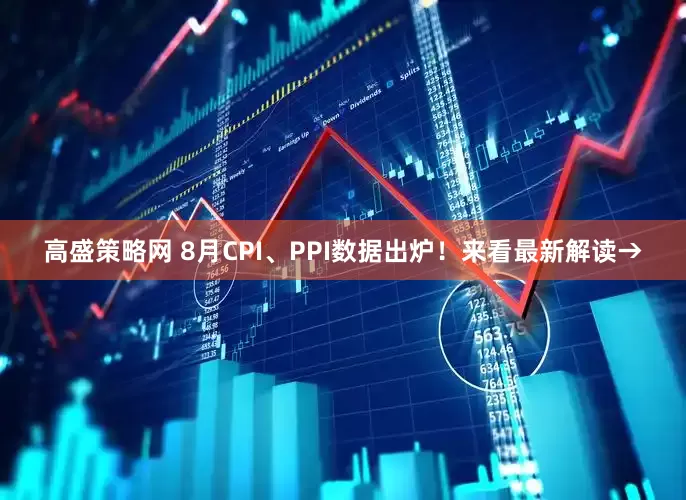 高盛策略网 8月CPI、PPI数据出炉！来看最新解读→