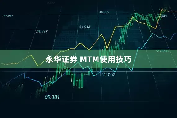 永华证券 MTM使用技巧